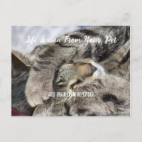 Personalzied Pet Life Lesson
