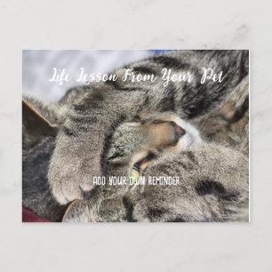 Personalzied Pet Life Lesson  Holiday Postcard