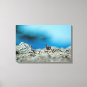 Perspective Canvas Print