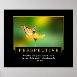 Perspective Inspirational Poster