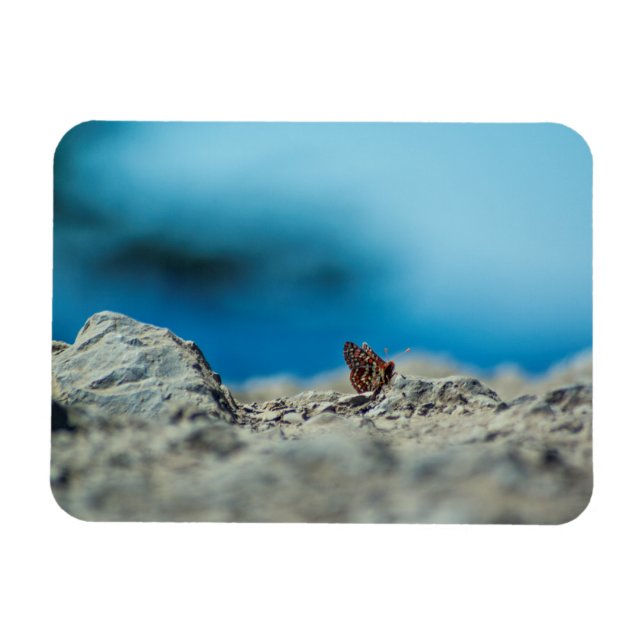 Perspective Magnet (Horizontal)
