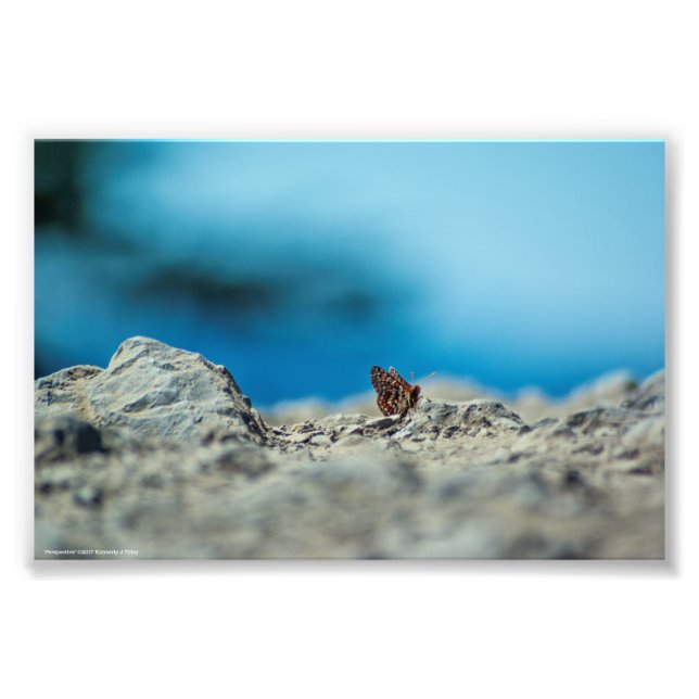 Perspective Photo Print (Front)