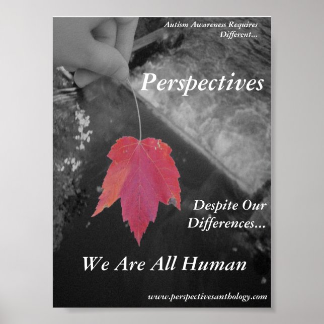 Perspectives Poster (Front)