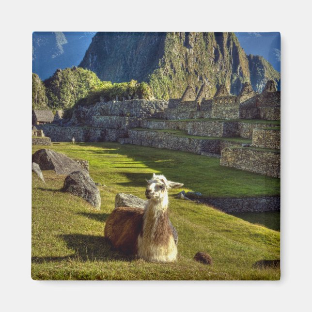 Peru, Andes, Andes Mountains, Machu Picchu Magnet (Front)