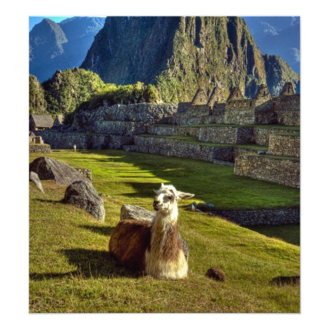 Peru, Andes, Andes Mountains, Machu Picchu, Photo Print (Front)