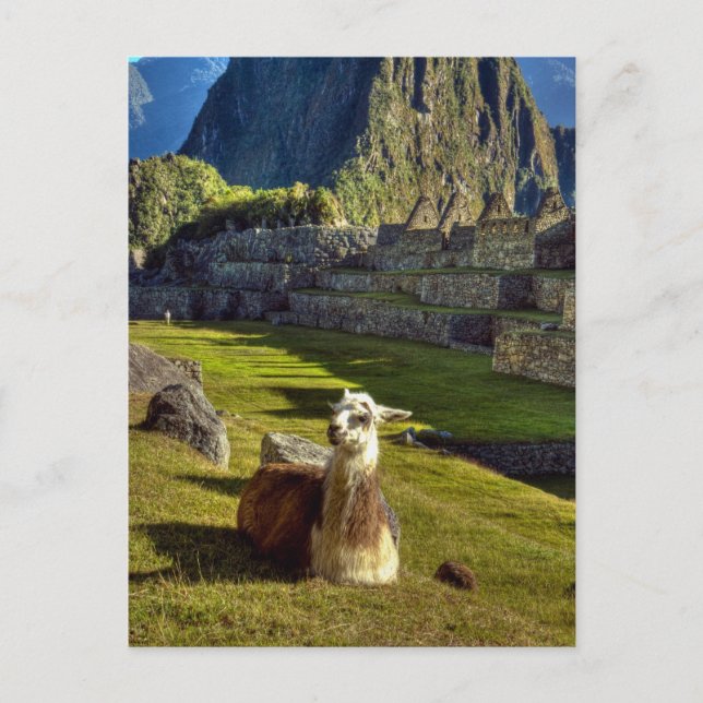 Peru, Andes, Andes Mountains, Machu Picchu Postcard (Front)