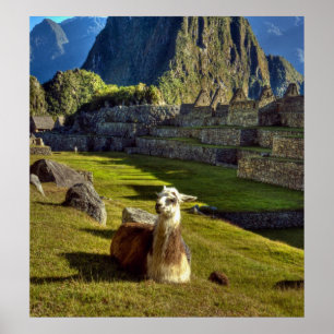 Peru, Andes, Andes Mountains, Machu Picchu Poster