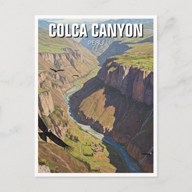 Peru Colca Canyon  Postcard (Front)