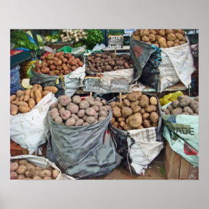 Peru-Land of Potatoes Poster