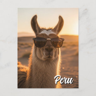 Peru Llama in sunglasses Postcard