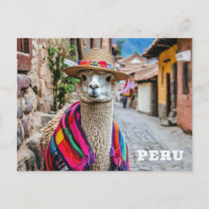 Peru Llama Postcard