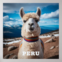 Peru Llama