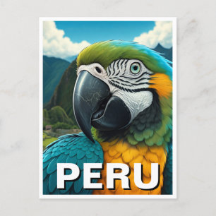 Peru Macaw Postcard
