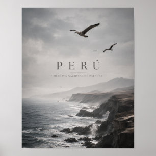 Perú Paracas Moody Coastal Travel Poster