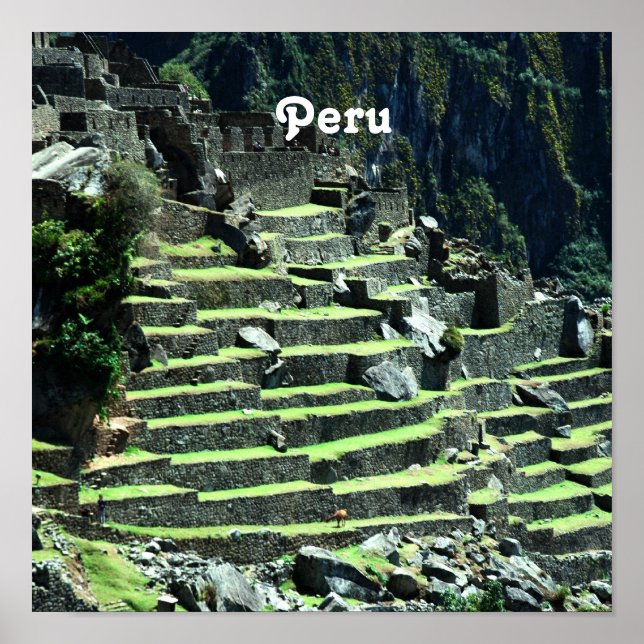 Peru Ruins Poster (Front)