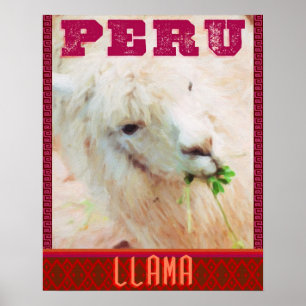 Peru Travel Poster - The Llamas of Peru