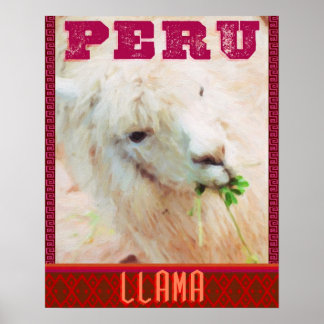 Peru Travel Poster - The Llamas of Peru
