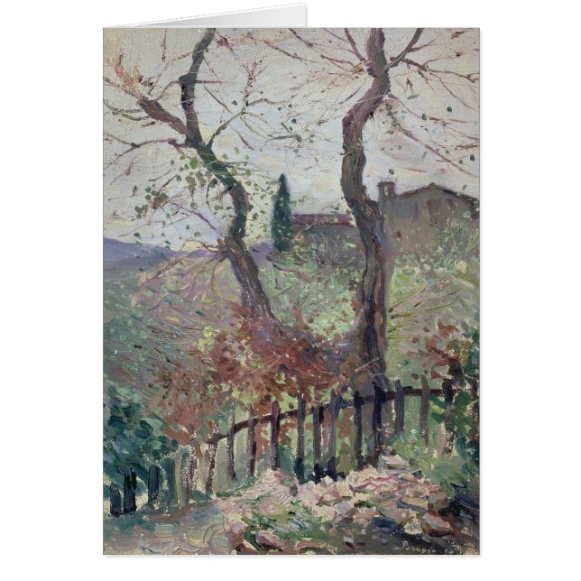 Perugia, Umbria, 1894 (Front)