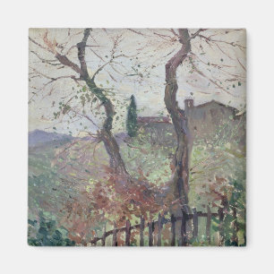 Perugia, Umbria, 1894 Magnet
