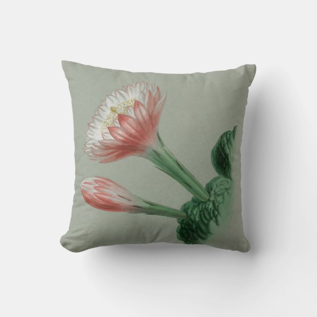 Peruvian Apple  Cushion (Front)