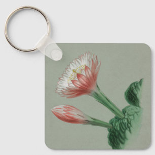 Peruvian Apple Key Ring