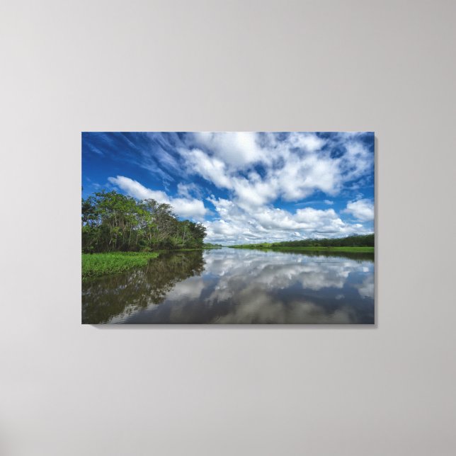 Peruvian Jungle Reflections Canvas Print (Front)