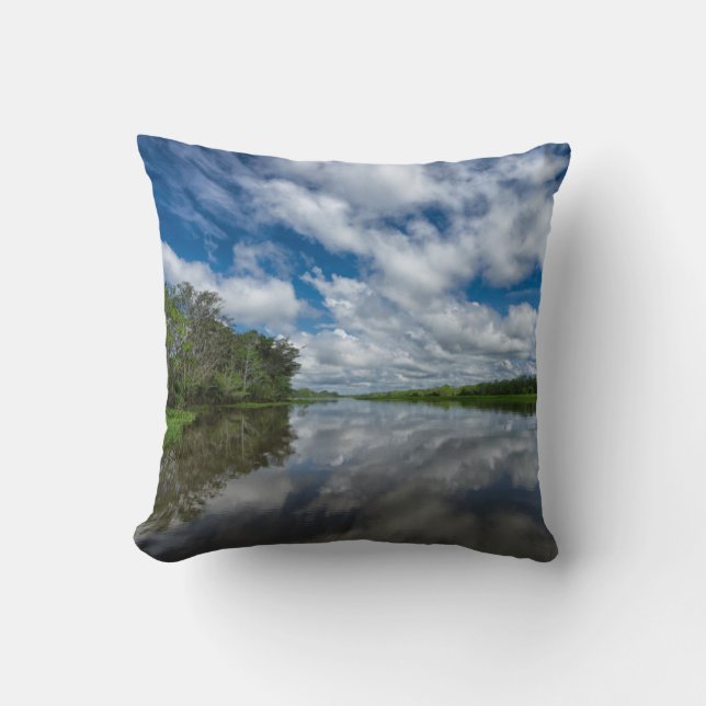 Peruvian Jungle Reflections Cushion (Front)