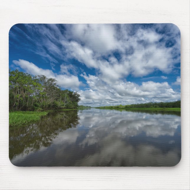 Peruvian Jungle Reflections Mouse Mat (Front)