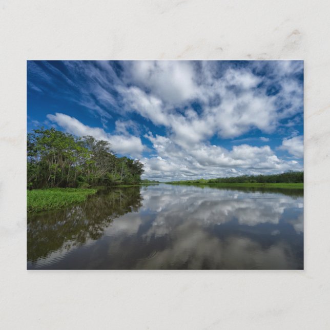 Peruvian Jungle Reflections Postcard (Front)