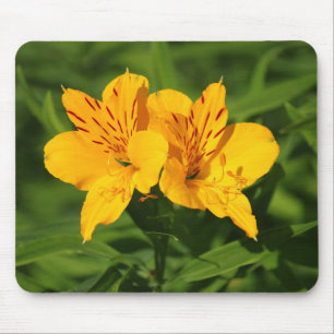 Peruvian Lilies Mouse Mat