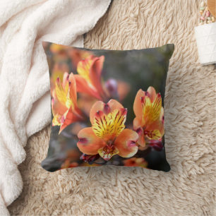 Peruvian Lily Flowers at RHS Garden Wisley Cushion