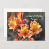 Peruvian Lily Flowers at RHS Garden Wisley Postcard (Front/Back)
