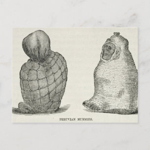 Peruvian Mummies Postcard