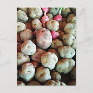 Peruvian Potatoes Postcard