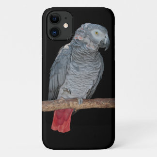 Pesky Parrot iPhone 11 Case