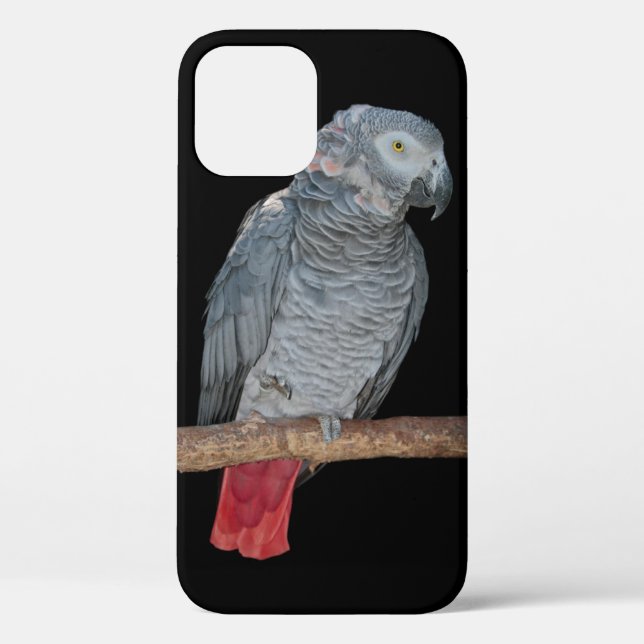 Pesky Parrot iPhone 12 Case (Back)