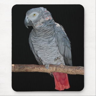 Pesky Parrot Mousemat