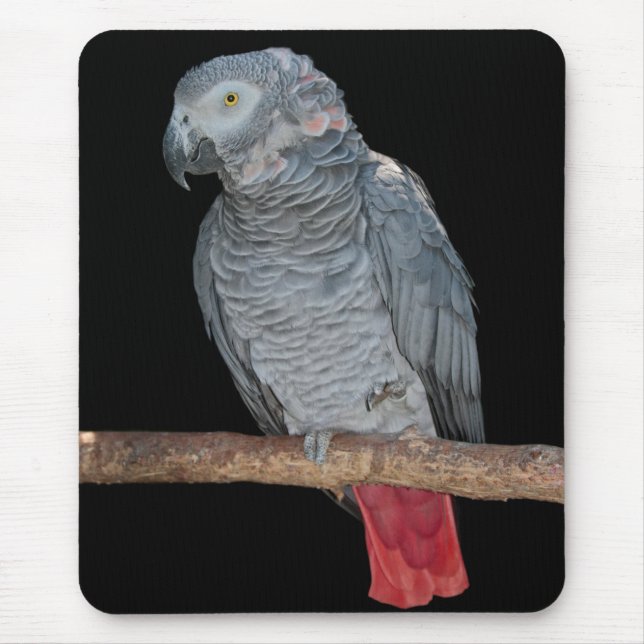 Pesky Parrot Mousemat (Front)