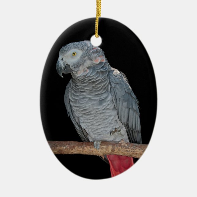 Pesky Parrot Ornament (Front)