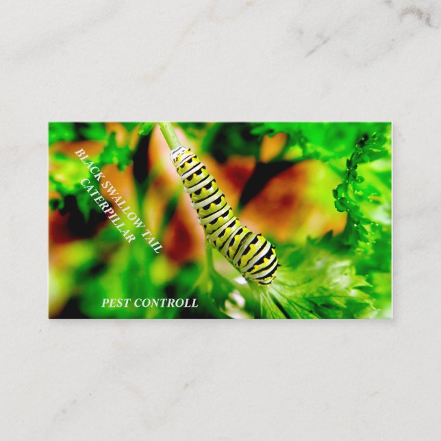 Pest Control Company Business Card (Front)