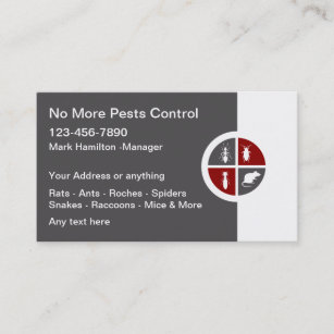 Pest Control Modern Exterminating Business Cards