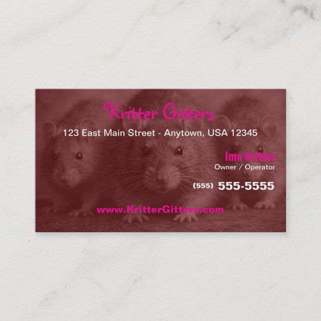 Pest Control | Rat & Rodent Control  Business Card (Front)