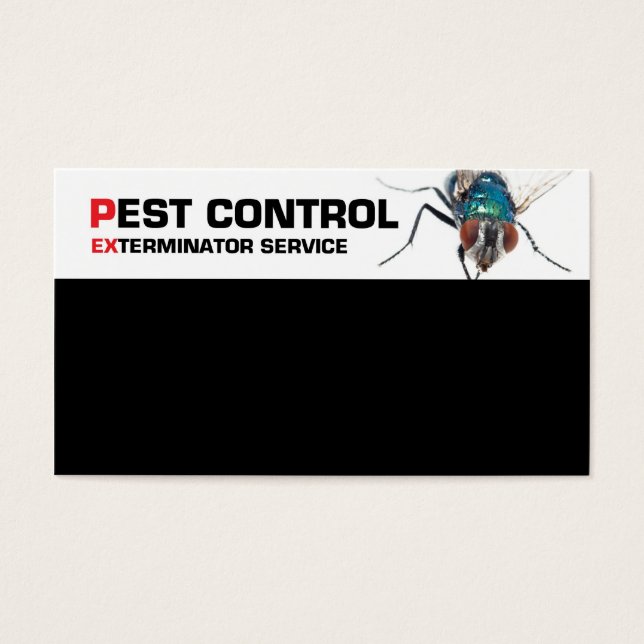 Pest control service (Front)