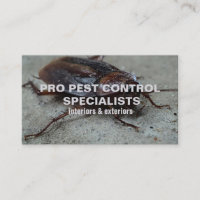 Pest Control Service Photo