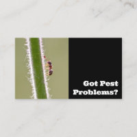 Pest exterminator for ants termites pest control