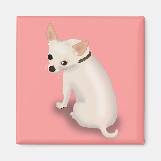 pet4 copy magnet (Front)