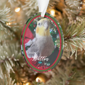 Pet Acrylic Christmas Ornament Bird Customisable