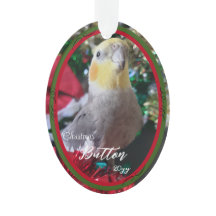 Pet Acrylic Christmas Ornament Bird Customisable