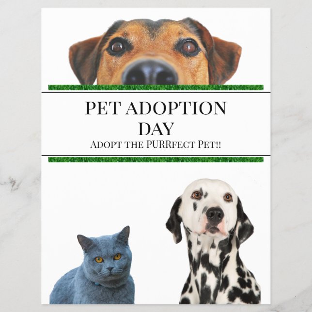 Pet Adoption Day Flyer (Front)