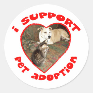 Pet Adoption Kitten With Pit bull Classic Round Sticker